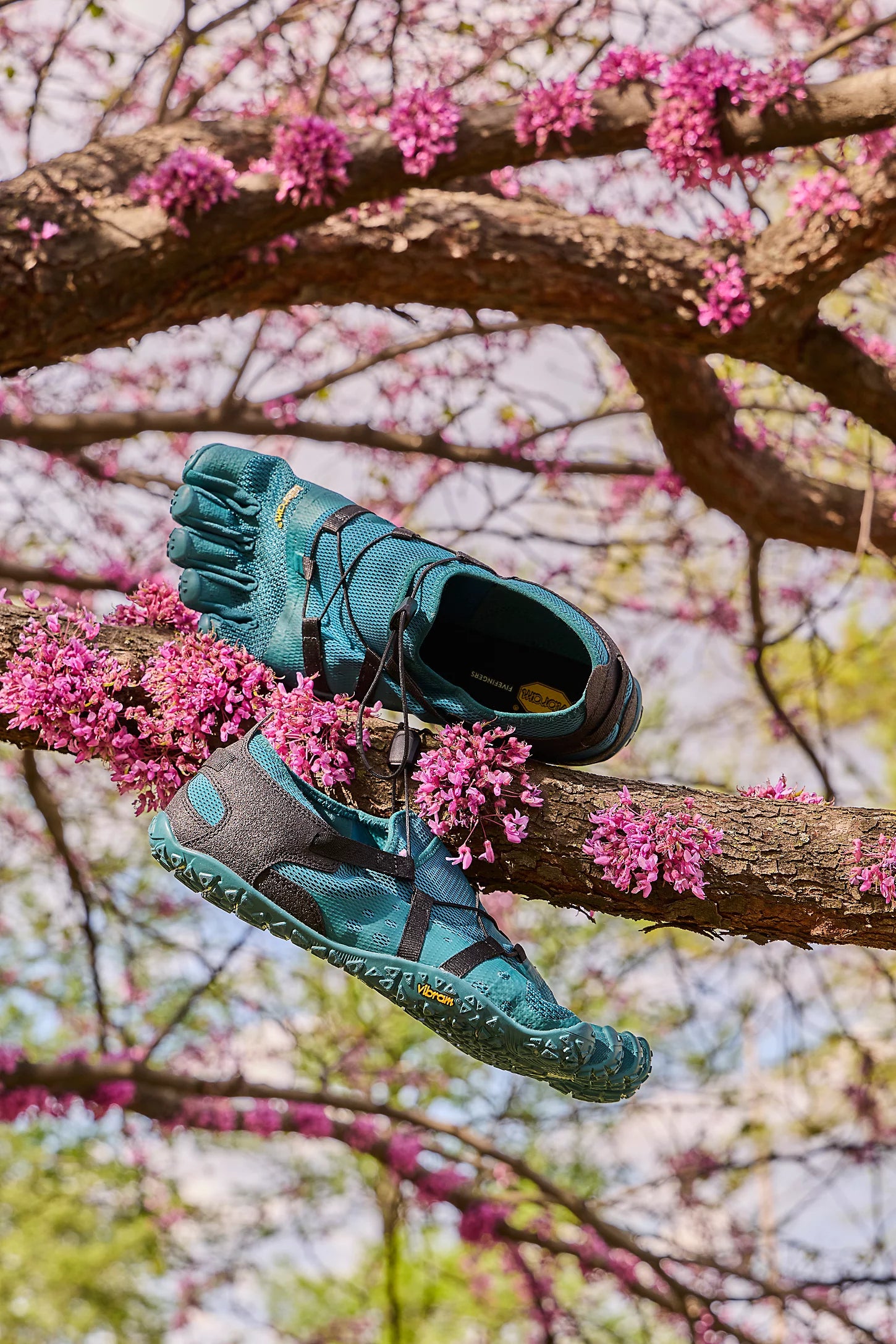 Spidrwalk FiveFingers